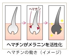 haruシャンプー白髪対策
