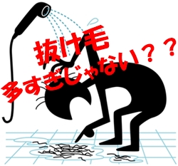 抜け毛が多いのが心配