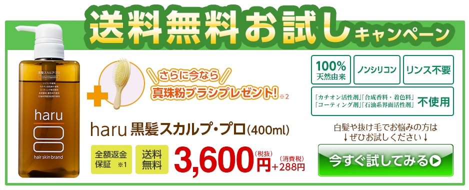 haru ハル シャンプー